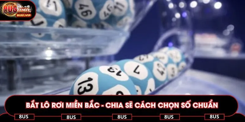 Bắt lô rơi miền bắc